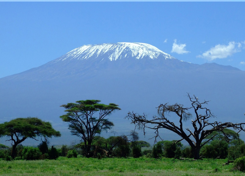 8-days-rongai-route-climb-mount-kilimanjaro