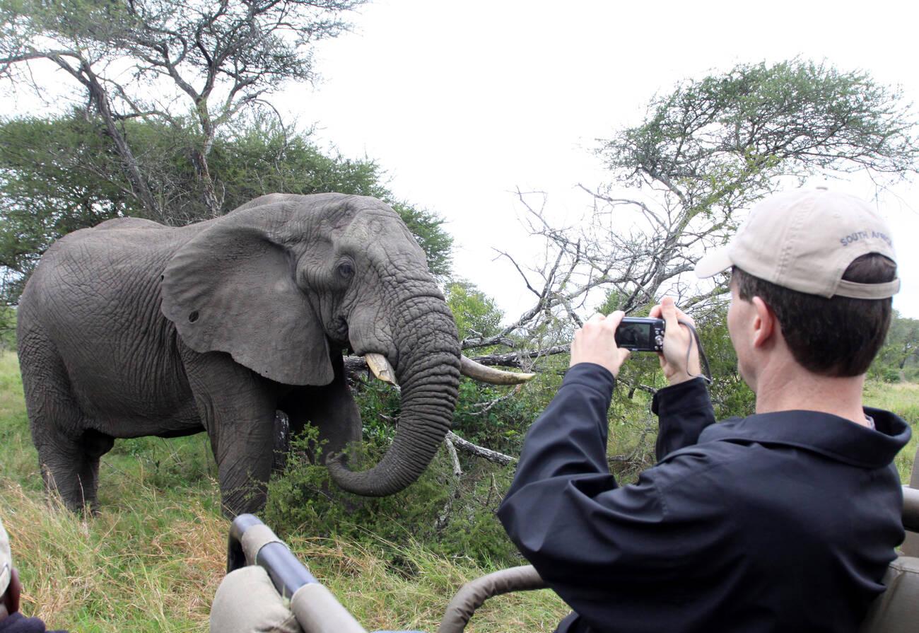 tanzania safari images (91)